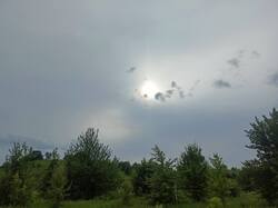 IMG20250611172852.thumb.jpg.4fc9003c7e771ae9ccb4fe3b1c343d0c.jpg