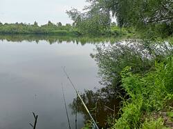 IMG20250611175907.thumb.jpg.e2f7abaedb3dac8531aa97f2092ec556.jpg