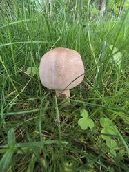 IMG20250613163755.jpg