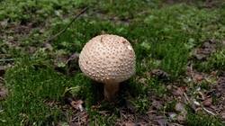 IMG20250628133634.jpg