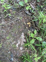 IMG_0971.jpeg