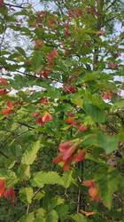IMG_20250602_183442.jpg