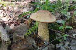 IMG_20250608_220514.jpg