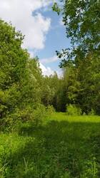 IMG_20250609_132411.jpg