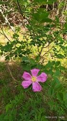IMG_20250609_143905.jpg