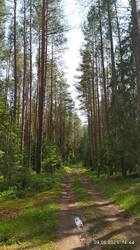 IMG_20250609_144435.jpg