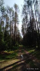 IMG_20250609_144441.jpg