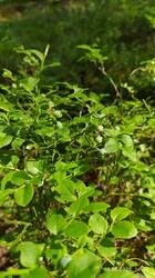 IMG_20250609_144602.jpg