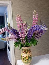 IMG_20250612_201024.jpg