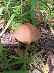 IMG_20250613_123907.jpg