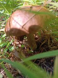 IMG_20250613_123939.jpg