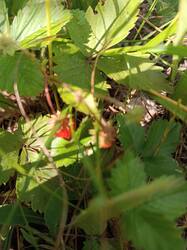 IMG_20250613_143314.jpg
