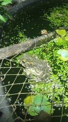 IMG_20250613_220930.jpg