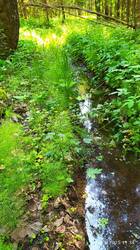 IMG_20250616_113450.jpg