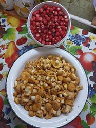 IMG_20250616_164203.thumb.jpg.c4ea617a0d26ea54d3f0e70bf2eb269c.jpg
