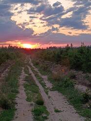 IMG_20250616_205045.jpg