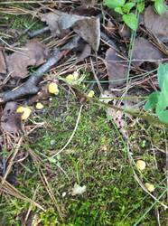 IMG_20250617_095021.jpg