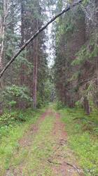 IMG_20250618_104950.jpg
