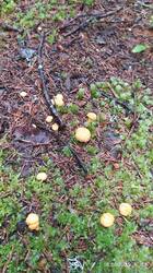 IMG_20250618_105132.jpg