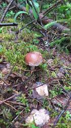 IMG_20250618_105723.jpg