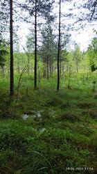 IMG_20250618_111434.jpg
