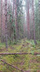 IMG_20250618_111449.jpg