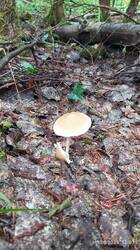 IMG_20250618_120327.jpg
