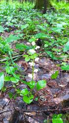 IMG_20250620_115943.jpg