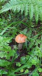 IMG_20250620_120851.jpg