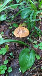 IMG_20250620_121442.jpg