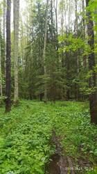 IMG_20250620_122416.jpg