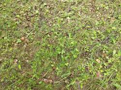 IMG_20250621_094717.jpg