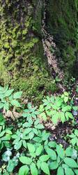 IMG_20250621_104043.jpg