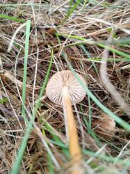 IMG_20250621_104417.jpg