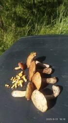 IMG_20250621_223000.thumb.jpg.0c3b8a8921a396f7aedbb04694c56223.jpg