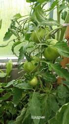IMG_20250622_084314.jpg