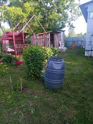IMG_20250622_183109.jpg