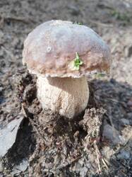 IMG_20250627_100215.jpg