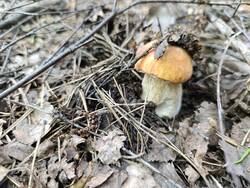 IMG_20250627_134541.jpg