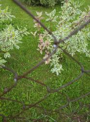 IMG_20250630_195341.jpg