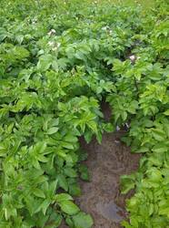 IMG_20250630_195417.jpg