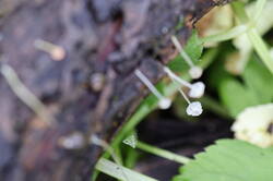 IMG_2332.thumb.JPG.a9f96ddd22d941a05cb04ff807be7cff.JPG