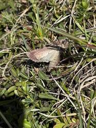 IMG_3143.jpeg
