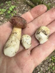 IMG_3903.jpeg