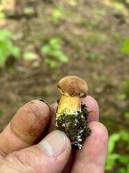 IMG_3910.jpeg
