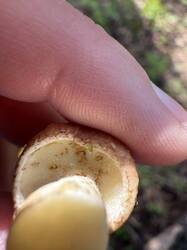 IMG_7906.jpeg