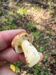 IMG_7907.jpeg
