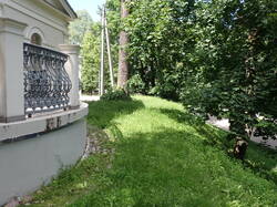 P6143020_1.JPG