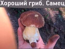 W8AT1xq8OBM.thumb.jpg.a6759be2359086bb8eca7b9baa1ac225.jpg