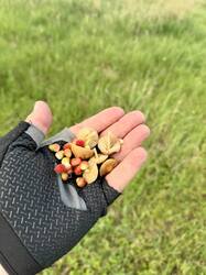 image-10-06-25-19-19-25.jpeg